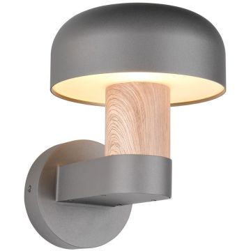 Trio FRASER 262560135 Fali lámpa 1x10w/e27 ip54