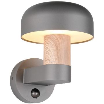 Trio FRASER 262569135 Fali lámpa 1x10w/e27 ip54