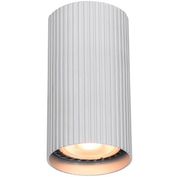 Italux Rilok CLN-83920-S-ALU Felületi spotlámpa 1x10W/GU10 IP20