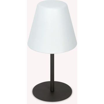 Ideal Lux ARCADIA 298597 Asztali lámpa 1x42W/E27 ip44