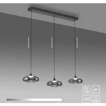 Paul Neuhaus POSH 15693-15 Függőlámpa 3x6,3W/LED 3000k 1000lm ip20