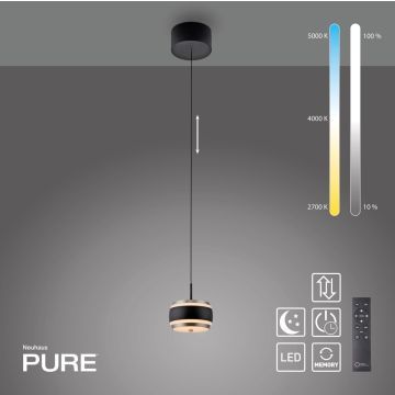 Paul Neuhaus PURE FALLING RINGS 2503-18 Függőlámpa 1x8W/LED 2200-5000k 310lm ip20