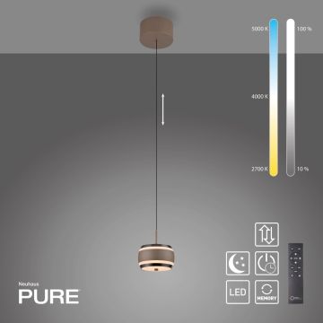 Paul Neuhaus PURE FALLING RINGS 2503-97 Függőlámpa 1x8W/LED 2200-5000k 310lm ip20
