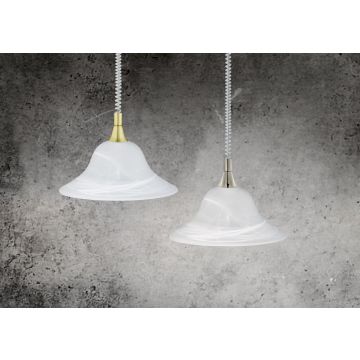 Trio VIOLA 301700107 Függőlámpa 1x60w/e27 ip20
