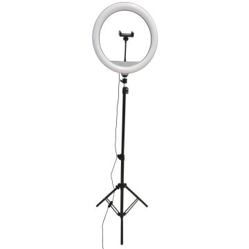 Polux SELFIE 327598 Asztali lámpa 1x15W/LED 2700K-4000K-6000K 330lm IP20