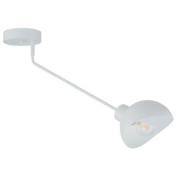 Sigma Lighting Roy 32428 Plafonlámpa 1x15W/E27 IP20
