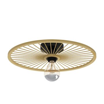 Eglo LEOMINSTER 43883 Plafonlámpa 1x40W/E27 IP20