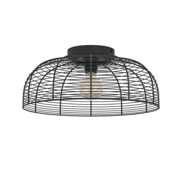 Eglo RINROE 43896 Plafonlámpa 1x40W/E27 ip20