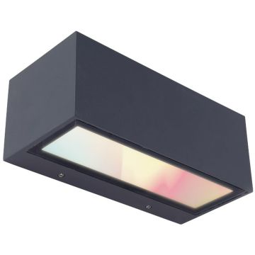 Lutec GEMINI 5189120118 Fali lámpa 1x17w/led 2700-6500k 900lm ip54