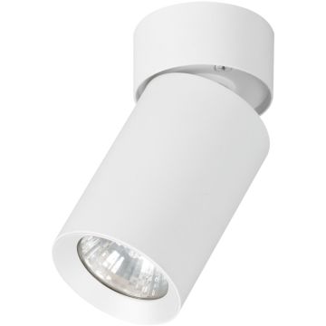 Alfa FLEX 59026 Felületi spotlámpa 1x10W/GU10