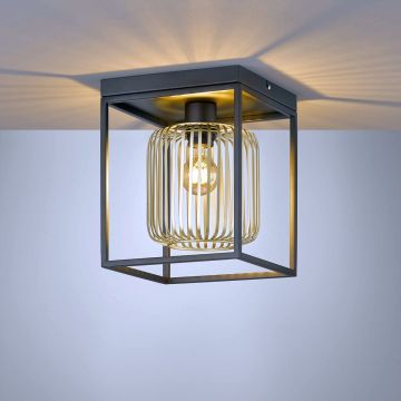 Fischer&Honsel Caydo 21294 Plafonlámpa 1x40W/E27 IP20