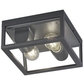 Trio GARONNE 601860242 Plafonlámpa 2x10w/e27 ip44