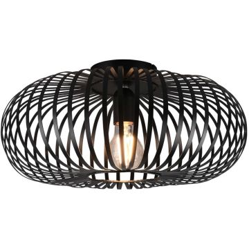Trio JOHANN 606900132 Plafonlámpa 1x60w/e27 ip20