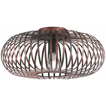 Trio JOHANN 606900162 Plafonlámpa 1x60w/e27 ip20