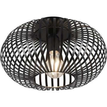 Trio JOHANN 606903032 Plafonlámpa 1x60w/e27 ip20