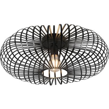 Trio JOHANN 606905032 Plafonlámpa 1x60w/e27 ip20