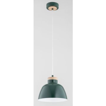 Alfa LORIEN 61328 Függőlámpa 1x15W/E27 IP20