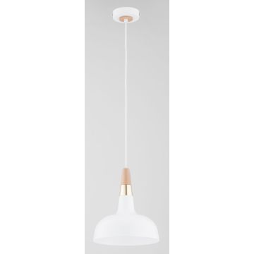 Alfa RODOS 61388 Plafonlámpa 1x15W/E27 IP20