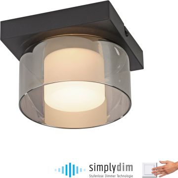 Paul Neuhaus RIKA 6162-18 Plafonlámpa 1x6W/LED 3000k 680lm ip20