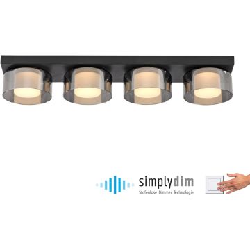 Paul Neuhaus RIKA 6164-18 Plafonlámpa 4x24W/LED 3000k 3800lm ip20