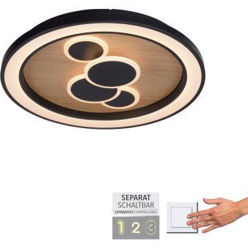 Paul Neuhaus ELIZA 6284-79 Plafonlámpa 1x63W/LED 3000k 6620lm ip20