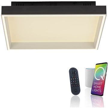 Paul Neuhaus Q-MAGONG 6316-18 Plafonlámpa 1x40W/LED 2700-5000k 5700lm ip20