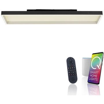 Paul Neuhaus Q-MAGONG 6317-18 Plafonlámpa 1x52W/LED 2700-5000k 5800lm ip20