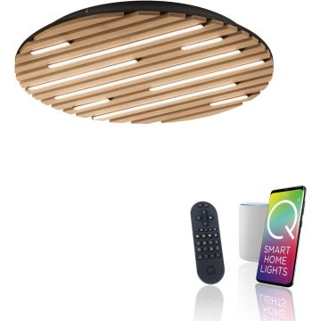 Paul Neuhaus Q-AKUSTIK 6421-79 Plafonlámpa 1x38W/LED 2700-5000k 3360lm ip20