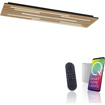 Paul Neuhaus Q-AKUSTIK 6422-79 Plafonlámpa 1x48W/LED 2700-5000k 4440lm ip20
