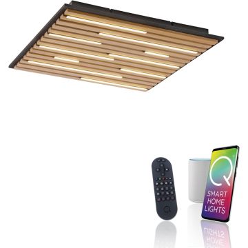 Paul Neuhaus Q-AKUSTIK 6423-79 Plafonlámpa 1x35W/LED 2700-5000k 3240lm ip20