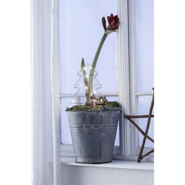 Markslojd GARDENER 703775 Álló dekoráció 1x0,32W/LED