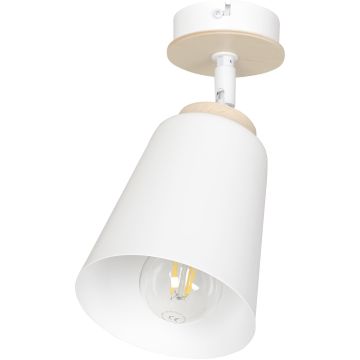 Emibig ATLAS 724/1 Spotlámpa 1x60W/E27 IP20