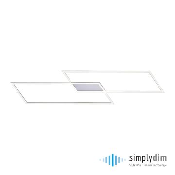 Paul Neuhaus INIGO 8194-55 Süllyesztett mennyezeti lámpa 2x20W/LED 3000K 2700LM IP20