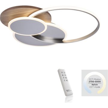 Paul Neuhaus PALMA 8328-79 Plafonlámpa 1x55W/LED 2700-5000k 6000lm ip20