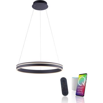 Paul Neuhaus Q-VITO 8411-13 Függőlámpa 1x44W/LED 2700-5000k 4550lm ip20