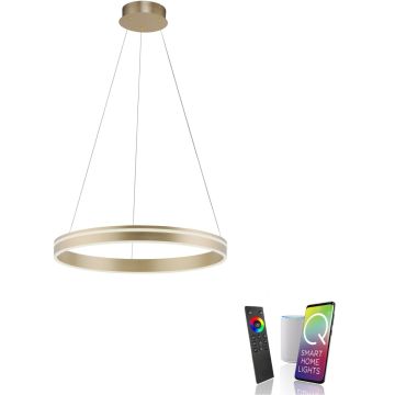 Paul Neuhaus Q-VITO 8411-60 Függőlámpa 1x44W/LED 2700-5000k 4550lm ip20