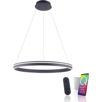 Paul Neuhaus Q-VITO 8412-13 Függőlámpa 1x65W/LED 2700-5000k 7000lm ip20