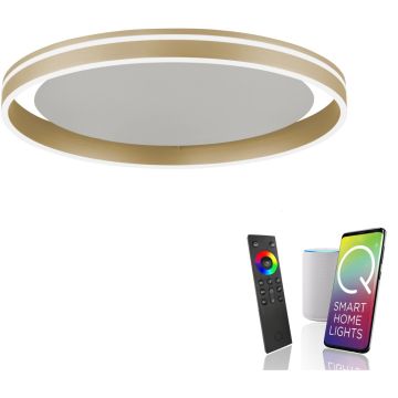 Paul Neuhaus Q-VITO 8416-60 Plafonlámpa 1x44W/LED 2700-5000k 4570lm ip20