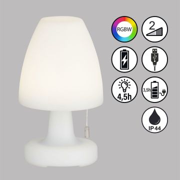 Fischer&Honsel Termoli 850250 Asztali lámpa 2x1.5W/LED RGBW 170lm IP44