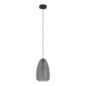 Eglo ALOBRASE 900506 Függőlámpa 1x40W/E27 IP20