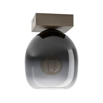 Eglo FILAGO 900825 Plafonlámpa 1x40W/E27 IP20