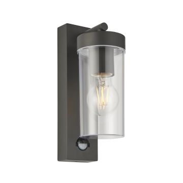Endon HAYDEN PIR 99756 Fali lámpa 15W/E27 IP44