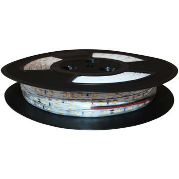 Eko-Light EKPL521 LED szalag 9,6W/m/LED 3000K IP20