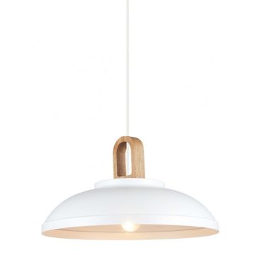 Italux DANITO MDM3153/1L W Függőlámpa 1x40W/E27