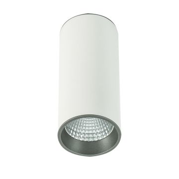 Italux MOLDES SLC7392/12W 4000K WH+GR Felületi spotlámpa 1x12W/LED 820LM IP20