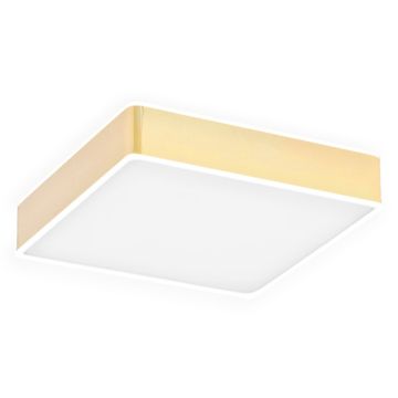 Argon ATLANTIS 4051 Süllyesztett mennyezeti lámpa 1x32W/LED 3000K 3900LM IP20