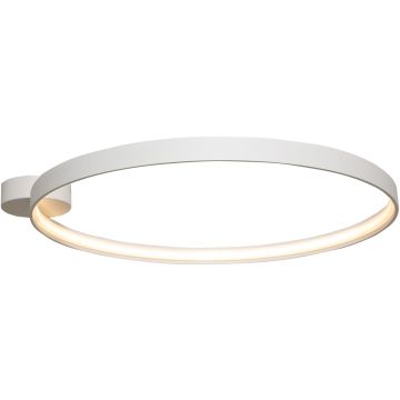 Zuma Line CIRCLE LA0769 Plafonlámpa 1x30W/LED 3000K 3870LM IP20
