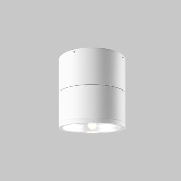 Maytoni Spin O310CL-L12W3K 1x12W/LED 3000K 1050lm IP54