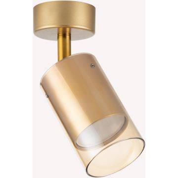 Zuma Line REN OB-2211BD-1-GLD Spotlámpa 1x50W/GU10