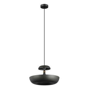 Italux MARINA PND-73221-1L-GR Függőlámpa 1x40W/E27 IP20